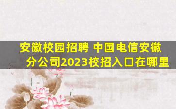安徽校园招聘 *电信安徽分*2023校招入口在哪里